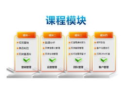 專業賦能電商未來 網盈機構一站式服務引領行業新篇章